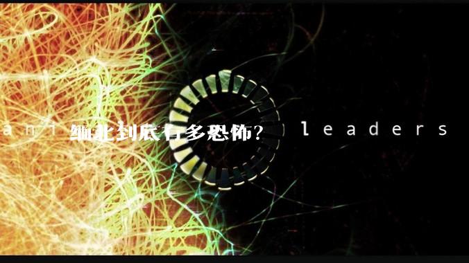 缅北到底有多恐怖？