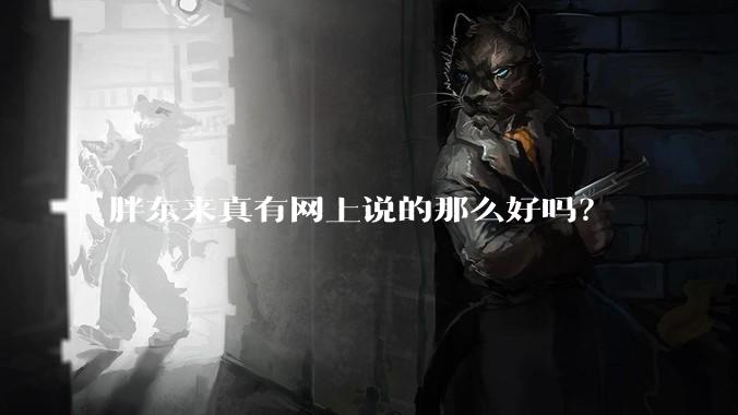 胖东来真有网上说的那么好吗？