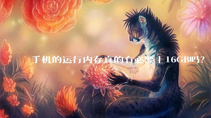 手机的运行内存真的有必要上16GB吗？